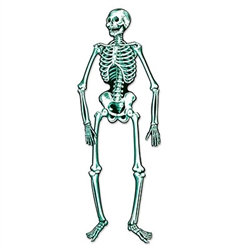 Jointed Skeleton 55 inch