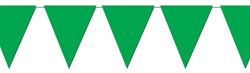 Green Indoor/Outdoor Pennant Banner, 12 f