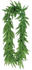 Everything looks beteer when you add a Tropical Fern Leaf Lei!