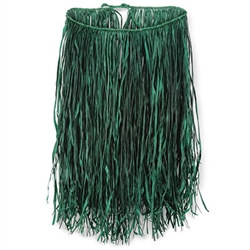 Value Raffia Hula Skirt Adult Green