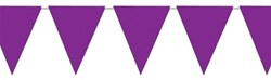 Purple Indoor/Outdoor Pennant Banner, 12 ft