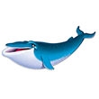 Blue Whale Cutout