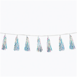 Iridescent Tassel Garland
