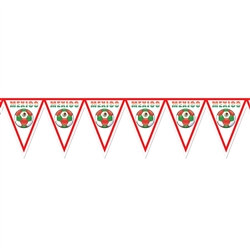 Mexico Soccer Pennant Banner