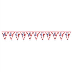 United States Soccer Pennant Banner