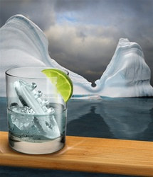 Gin and Titonic Ice Tray